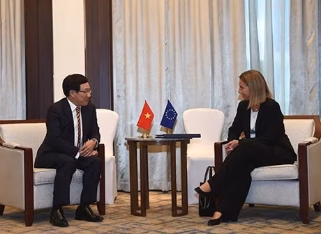 Recibe vicepremier vietnamita se reúne con alta representante de UE ảnh 1