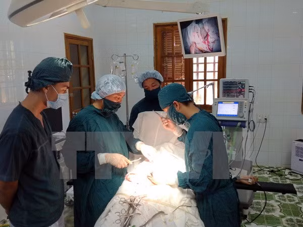 Se aproxima exposición internacional de farmacia Vietnam 2016 ảnh 1