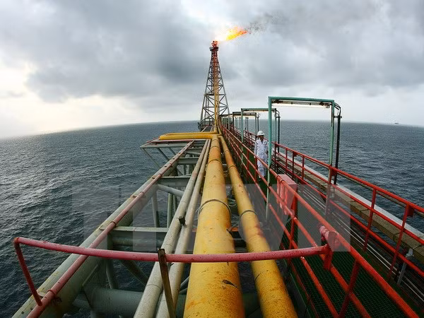 Grupo petrolero de Vietnam se esfuerza por aumentar su producción anual ảnh 1