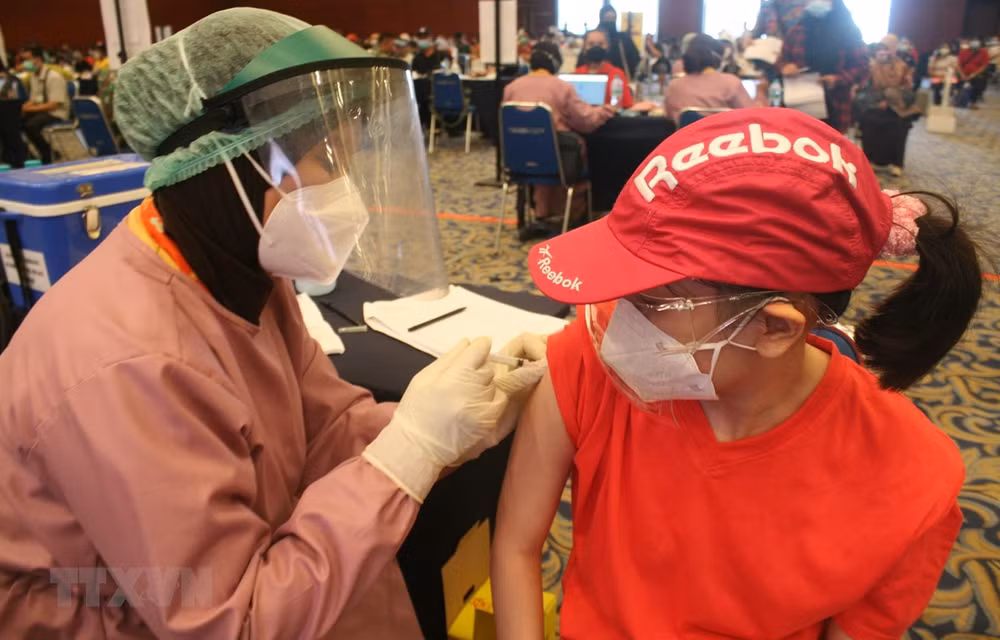 Indonesia fija objetivo de vacunar a toda la población en marzo ảnh 1