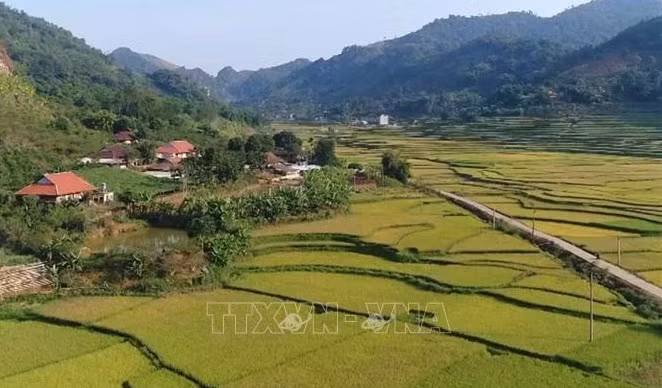 Vietnam fija meta para desarrollar nuevas zonas rurales para 2025 ảnh 1