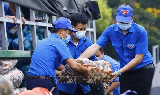 Exhortan a la juventud vietnamita a promover creatividad y dedicación ảnh 1