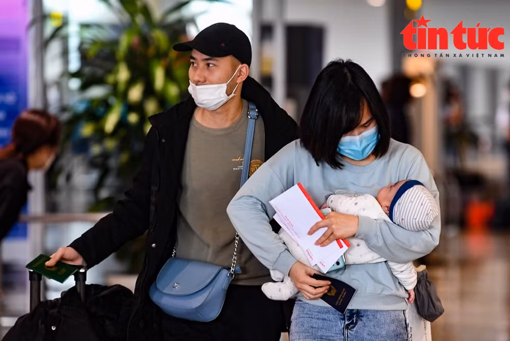 📝 Enfoque: Destacan solidaridad con ciudadanos vietnamitas evacuados de Ucrania ảnh 2