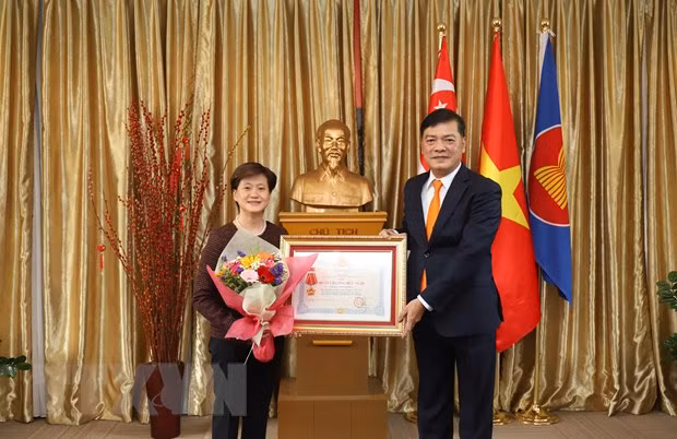 Entregan distinciones vietnamitas a exembajadora de Singapur en Vietnam ảnh 1