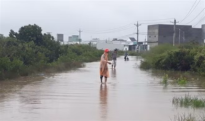 Vietnam promueve prevención contra desastres naturales ảnh 1