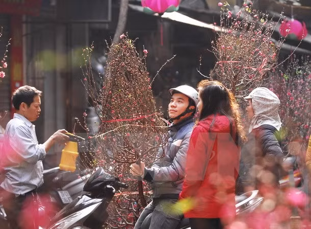 Mercado de flores en la calle Hang Luoc ảnh 1