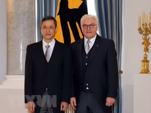 Embajador vietnamita presenta cartas credenciales al presidente de Alemania ảnh 1