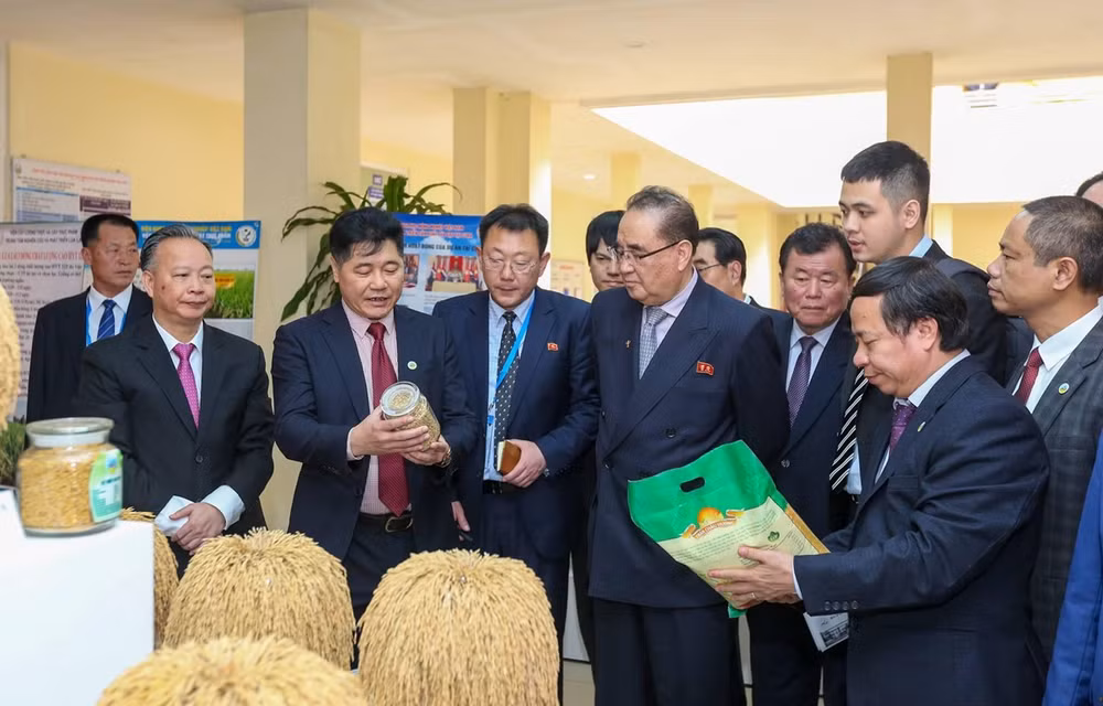  Cumple delegación partidista de Corea del Norte intensa agenda durante visita a Vietnam ảnh 1
