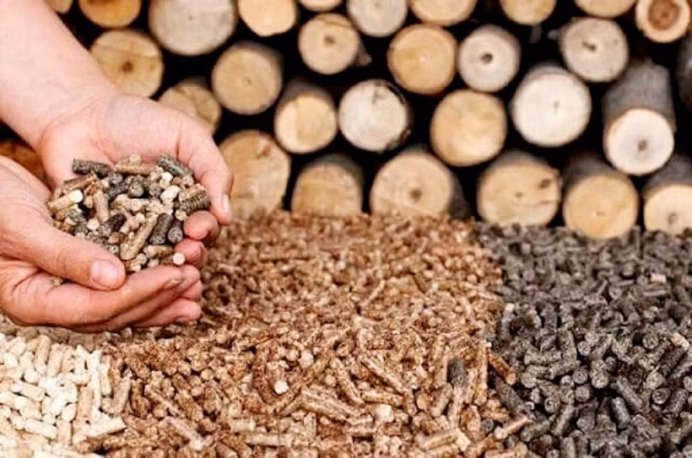 Exportación de pellets de madera de Vietnam, futuro y retos ảnh 1