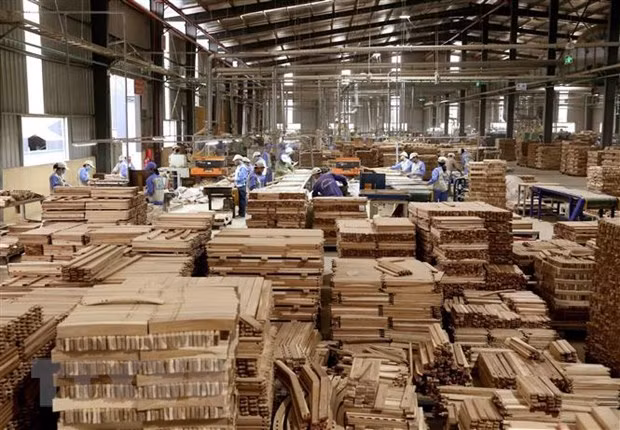 Vietnam por ingresar fondo multimillonario por exportación de madera ảnh 2