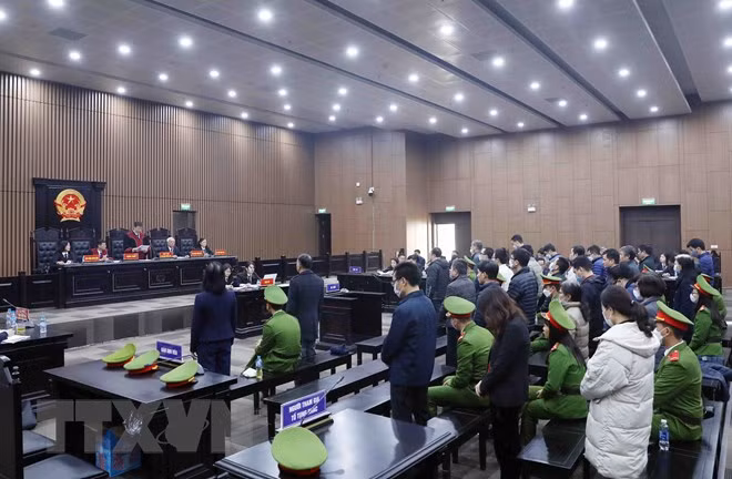 Dictan severas penas en caso de violación de normas de licitación en Vietnam ảnh 1