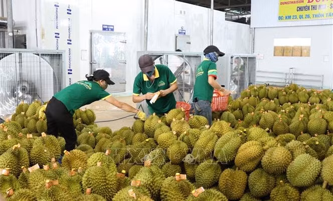 Promueven localidades vietnamitas cooperación con ciudad china de Tianjin ảnh 1