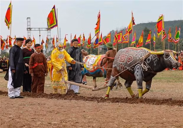 Celebran tradicional festival de oración por abundantes cosechas ảnh 1