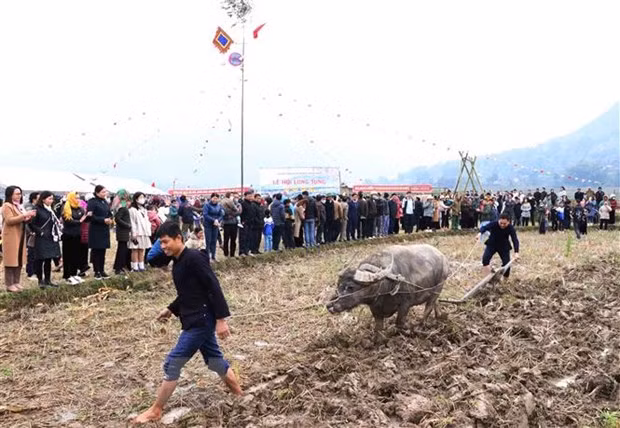 Localidades en el Norte de Vietnam celebran festivales de “ir al campo” ảnh 1