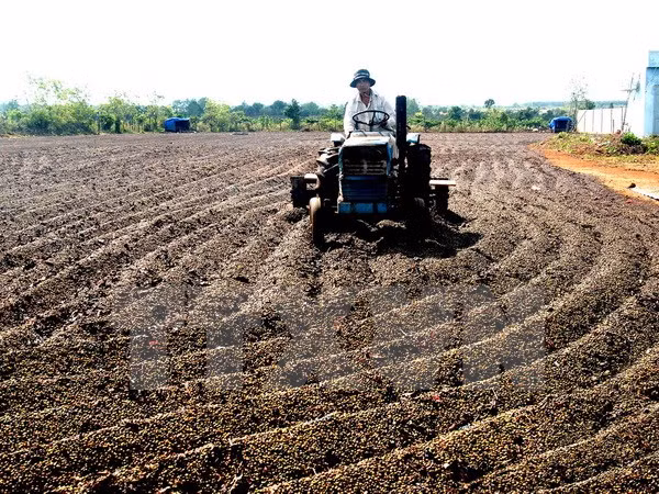 Kon Tum aumenta inversión para áreas fronterizas con Laos y Cambodia ảnh 1