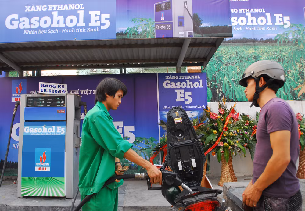 Impulsan propaganda sobre uso de bio-combustible en Vietnam ảnh 1