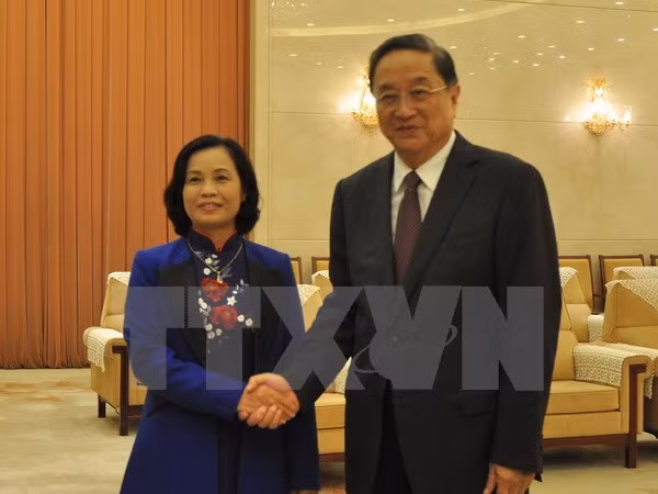 Órganos de masas vietnamita y china robustecen nexos cooperativos ảnh 1