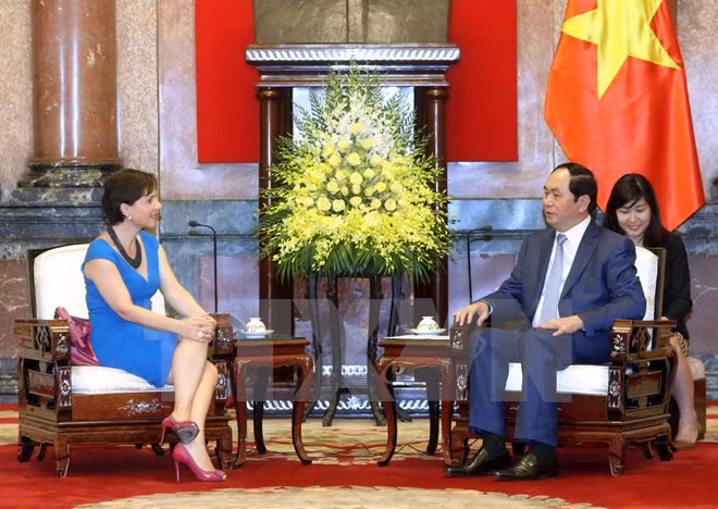 Presidente vietnamita se pronuncia por expandir cooperación con Italia ảnh 1