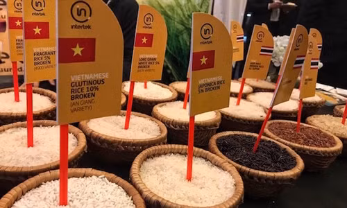 Exportaciones arroceras de Vietnam alcanzarán siete millones de toneladas en 2023 ảnh 1