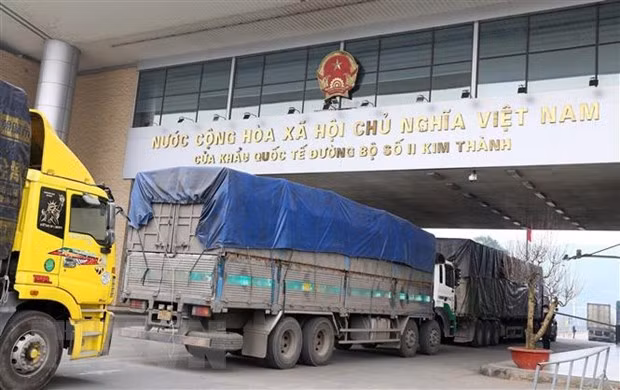 Exportadoras vietnamitas de materiales medicinales a China necesitan registro ảnh 1 Exportadoras vietnamitas de materiales medicinales a China necesitan registro ảnh 1