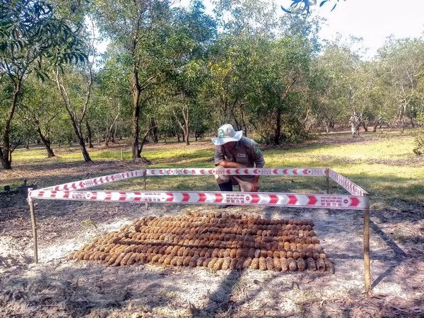 Provincia vietnamita de Quang Tri destruye 299 artefactos explosivos ảnh 1