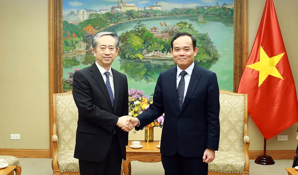 Viceprimer ministro Tran Luu Quang recibe a embajador chino en Vietnam ảnh 1