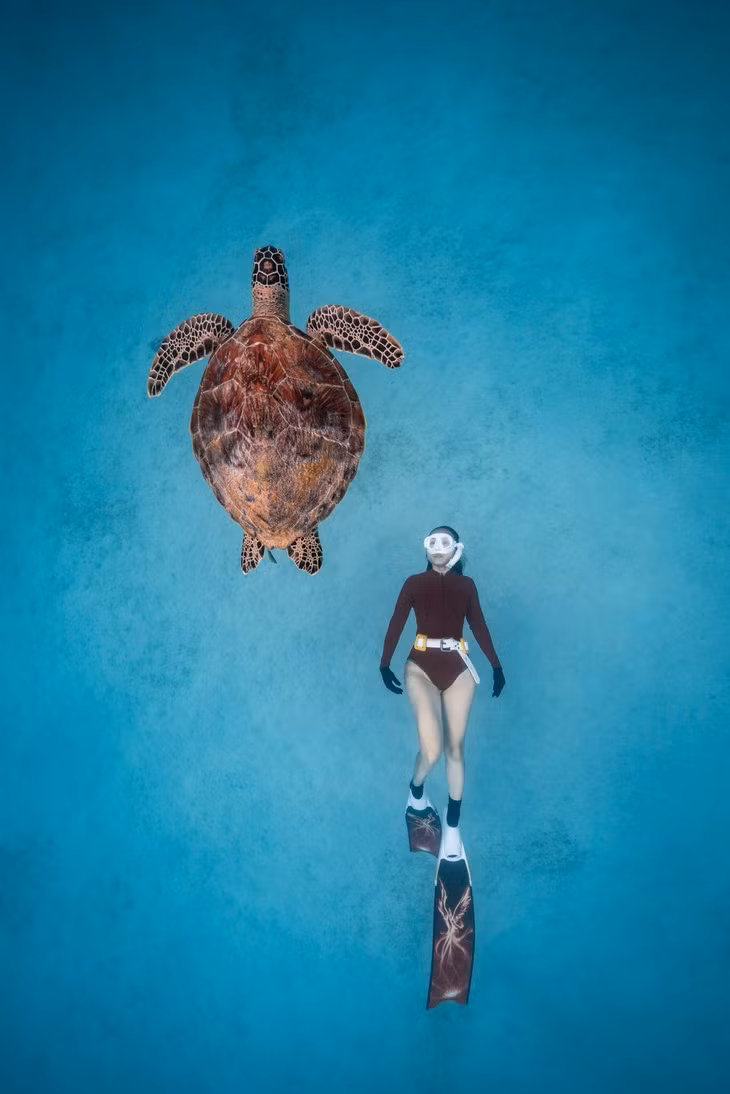 Fotógrafo vietnamita gana prestigioso concurso de fotografía internacional ảnh 1