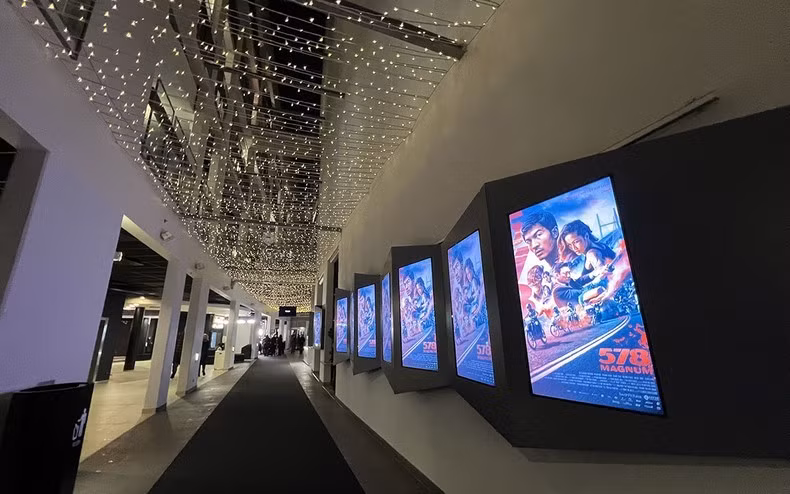 Llega primera película de acción vietnamita al mercado europeo ảnh 1