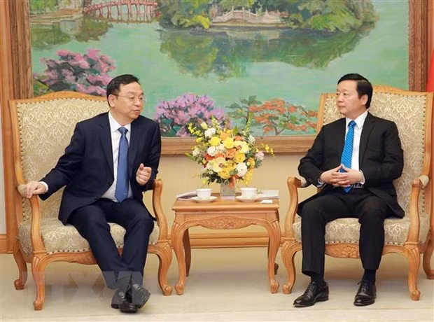 Vicepremier vietnamita recibe a dirigentes de grupos de China y Japón&nbsp; ảnh 1