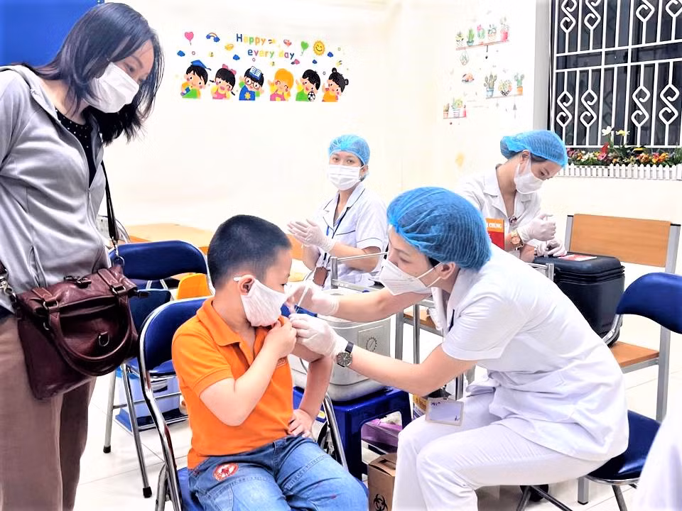 Discutirán consideración de la COVID-19 como enfermedad infecciosa del Grupo B ảnh 1