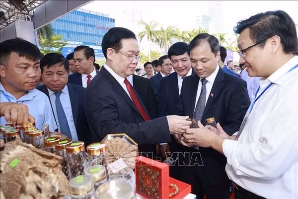 Busca provincia vietnamita a atraer mayor inversión nacional y extranjera ảnh 2