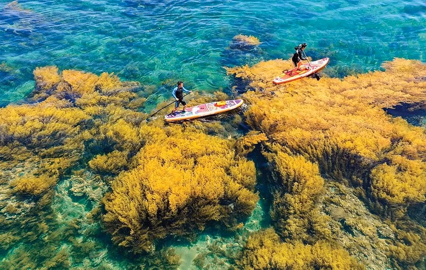 Turismo de mar e islas, una "mina de oro" para la economía verde vietnamita ảnh 1