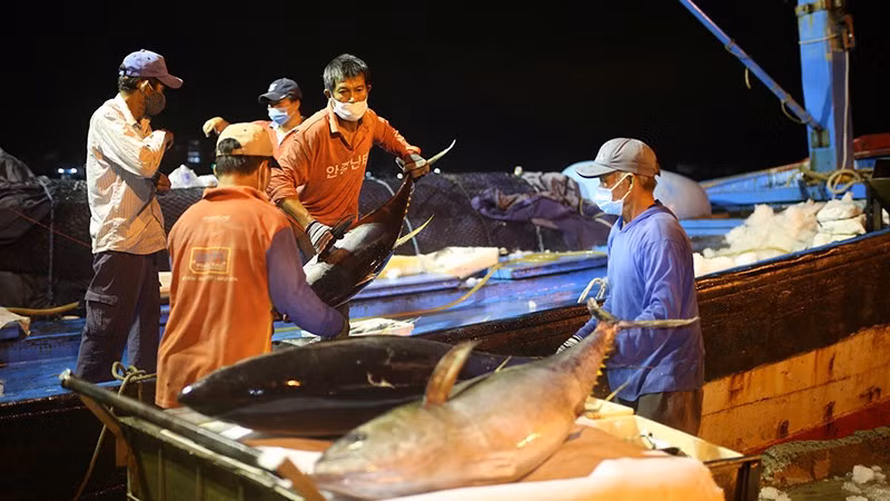 Vietnam por elevar conciencia sobre desarrollo sostenible de pesca ảnh 2