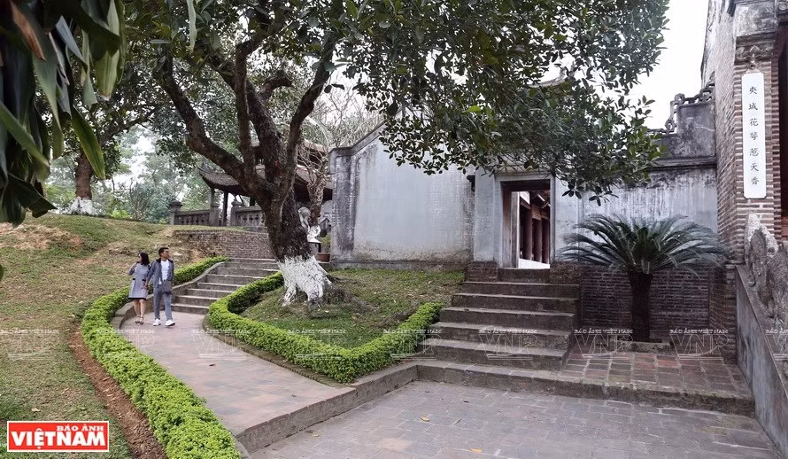 [Foto] Antigua ciudadela de Co Loa ảnh 4