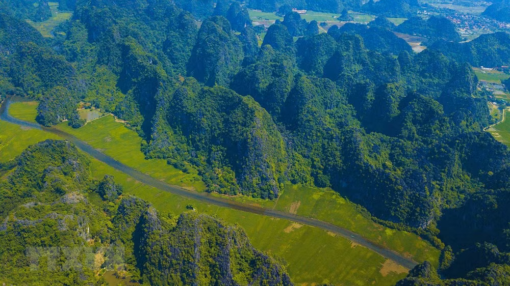 [Foto] Belleza de Tam Coc en la temporada de arroz en crecimiento ảnh 3
