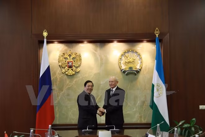 Bashkortostán aspira a intensificar cooperación económica con Vietnam ảnh 1