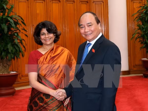 Primer ministro de Vietnam recibe a saliente coordinadora residente de ONU ảnh 1