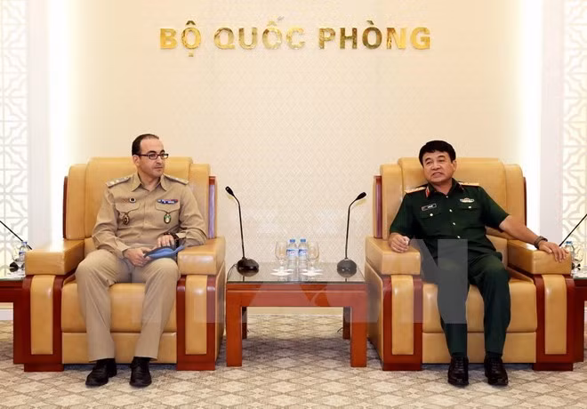 Vietnam dispuesto a continuar enviando soldados para operaciones de paz de la ONU ảnh 1