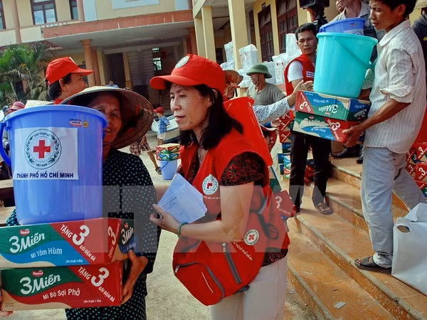 Vietnamitas en extranjero apoyan a connacionales afectados por inundaciones ảnh 1