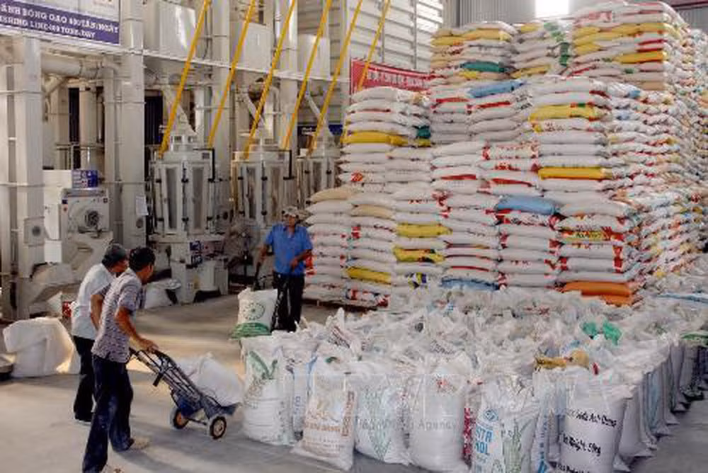 Suministrarán arroz a cinco provincias vietnamitas en ocasión del Año Nuevo Lunar ảnh 1
