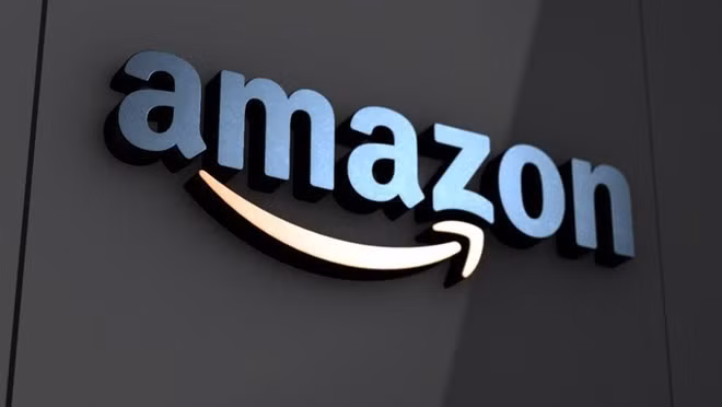 Penetración de Amazon en Vietnam ayuda a exportación de productos nacionales ảnh 1