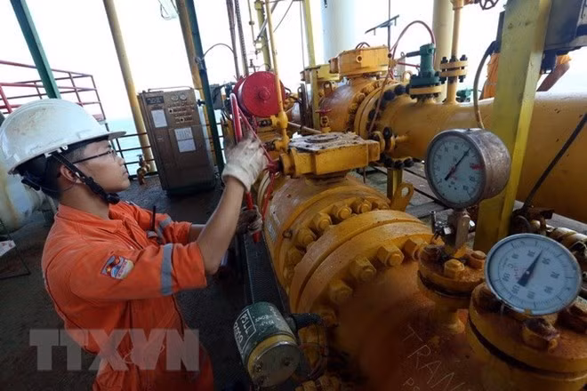 Sobrecumple PetroVietnam metas de explotación y producción en enero ảnh 1