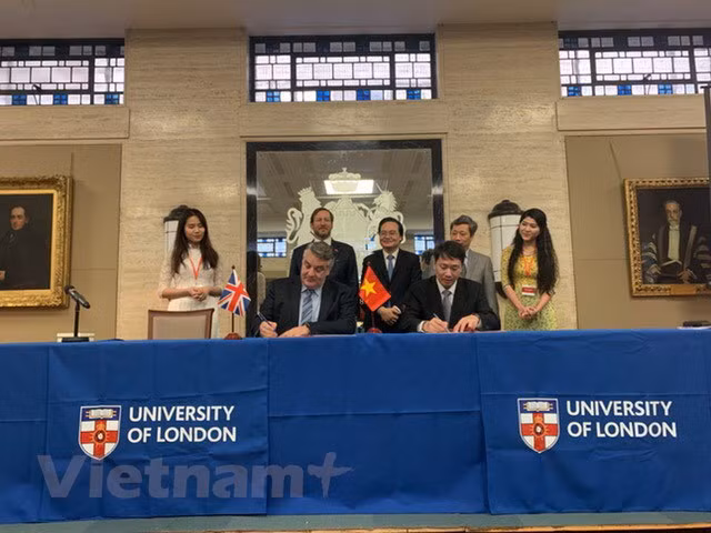 Firman Vietnam y Reino Unido decenas de documentos de cooperación educativa ảnh 1