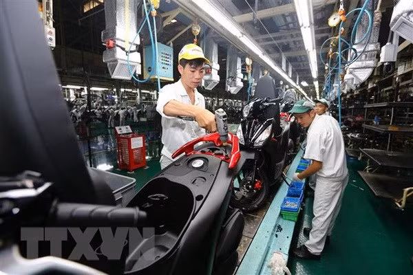 Fitch Solutions destaca crecimiento económico de Vietnam en 2018 ảnh 1