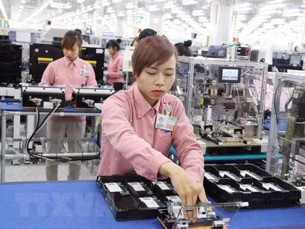 Sudáfrica sigue siendo mayor socio comercial africano de Vietnam ảnh 1