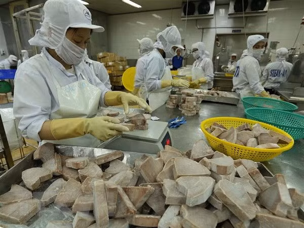  Reportan buenas perspectivas para sector acuícola de Vietnam en 2019 ảnh 1