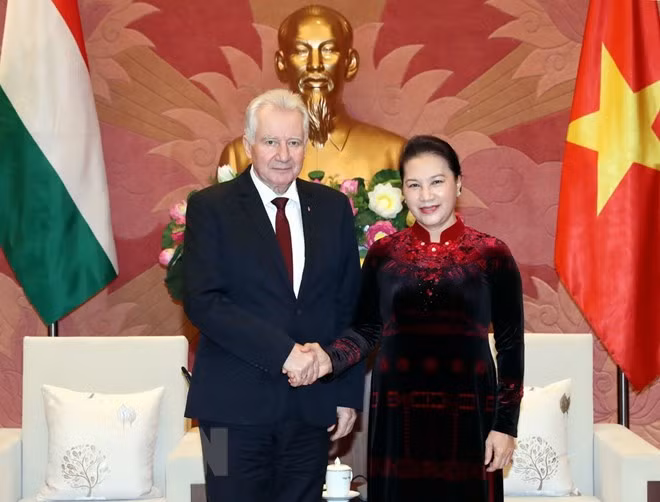 Recaba Vietnam apoyo de Hungría a ratificación de TLC con Unión Europea ảnh 1