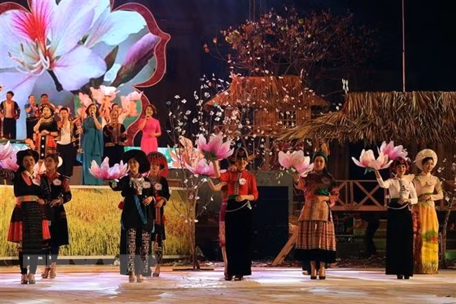 Celebrarán en Vietnam festival de Flor de Bauhinia blanca ảnh 1