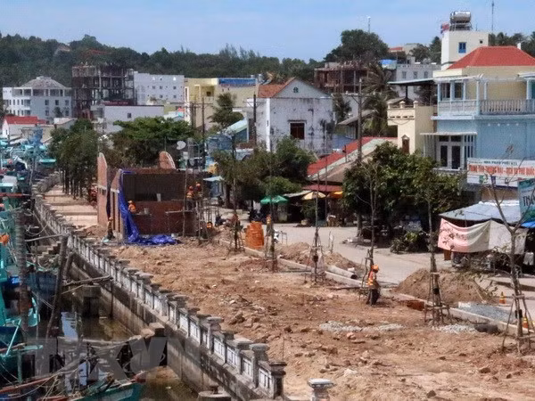 Casi la mitad de comunas vietnamitas cumplen requisitos de nuevas áreas rurales ảnh 1