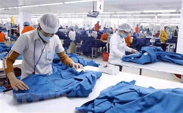 Gozan empresas austriacas de numerosas oportunidades para invertir en Vietnam ảnh 1